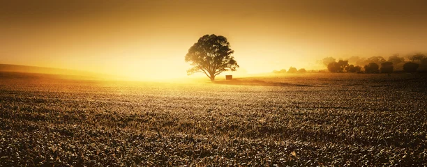 Deurstickers Clare Valley Farmland © Kwest