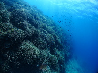 Fototapeta na wymiar underwater of southern island