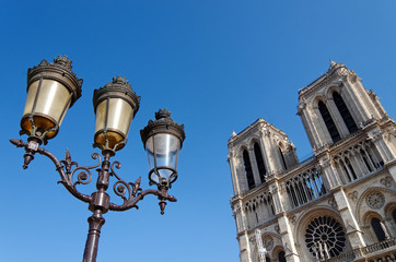 Fototapeta na wymiar cathédrale Notre dame, Paris