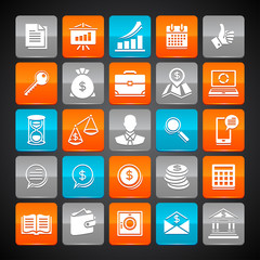Set of glossy business and money web icons.