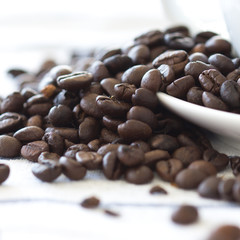 Coffee beans