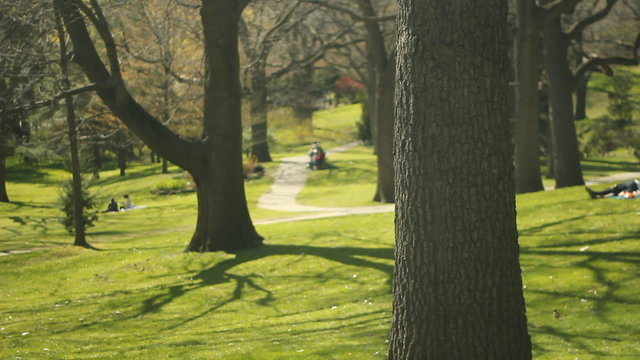 Sunny spring park. High Park, Toronto.