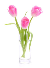 Pink tulips bouquet in vase isolated on white background