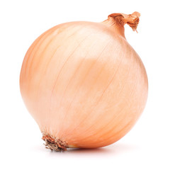 gold onion bulb