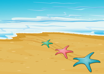Fototapeta na wymiar Trzy kolorowe rozgwiazdy na plaży