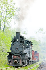 Fototapeta na wymiar narrow gauge railway, Banovici, Bosnia and Hercegovina