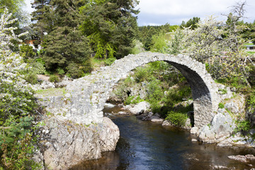 Fototapeta na wymiar Old Packhorse most, Carrbridge, Highlands, Szkocja