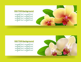 banner with orchids, floral vector background