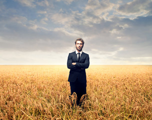 wheat field