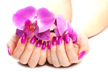 female hands with pink orchid. isolated