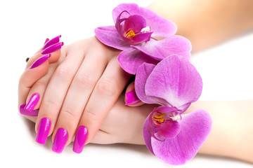 female hands with fragrant orchid . Spa
