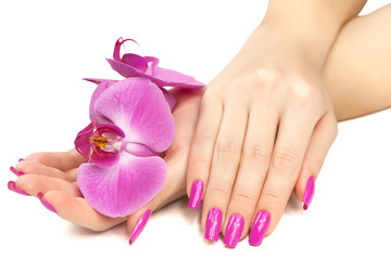 female hands with pink orchid flower. isolated