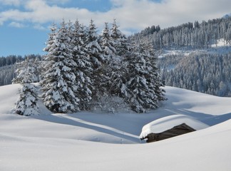 versunken im schnee