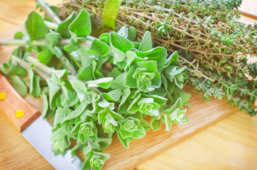 oregano with thyme