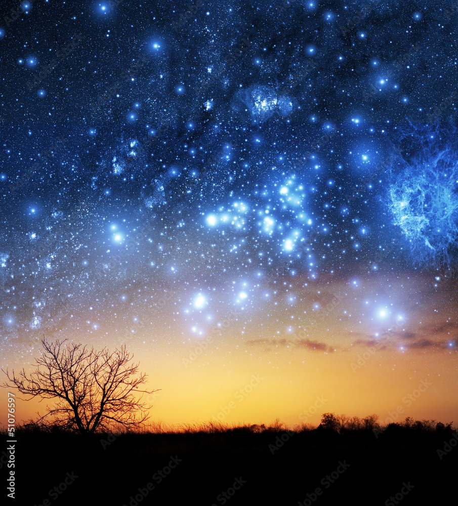 Poster a single tree with beautiful space background