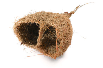 Nest