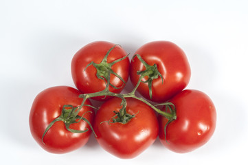 Tomatoe in a vine