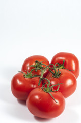 Tomatoe in a vine