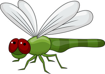 Dragonfly cartoon
