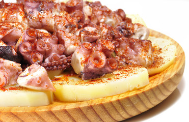 Pulpo.