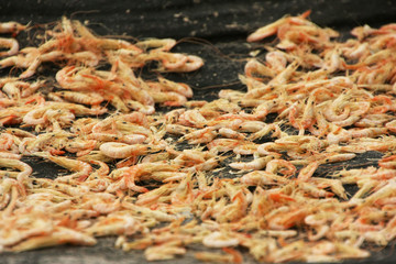 Table with dried shrimp in local village, Ream National Park, Ca