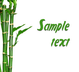 Bamboo text