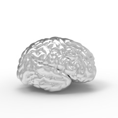 Brain