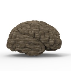 Brain