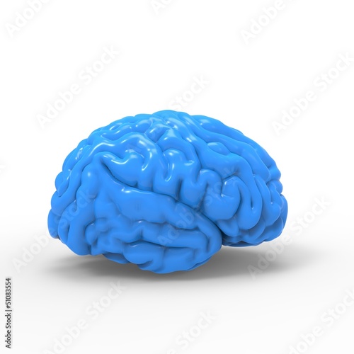 Human brain 3d model free download games