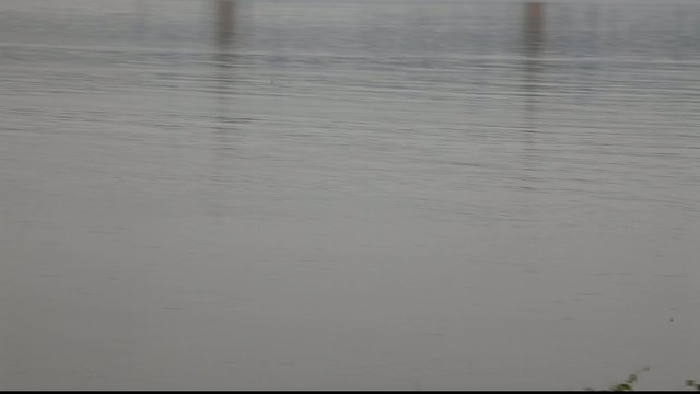 catching fish