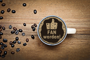 FAN werden