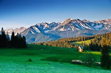 Peel and stick wall murals Tatra Mountains Polish Tatra mountains panoram in the morning