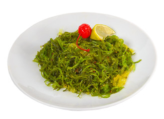 green algae seaweed  isolated on white background clipping path