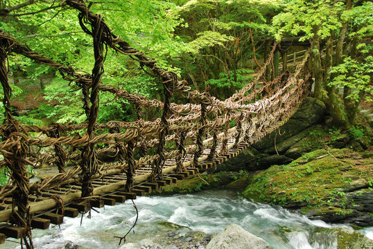 Fototapeta Pont de lianes et bambou Kazura-bashi à Oku Iya, Shikoku