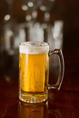 cold beer in a mug