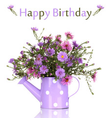 beautiful bouquet of purple flowers in watering can isolated