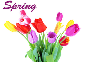 Beautiful tulips in bouquet isolated on white