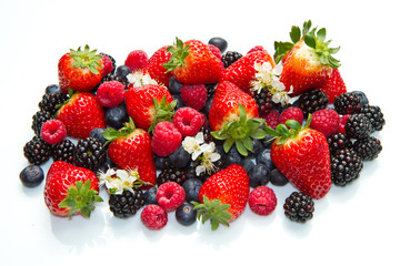 Berries on white Background