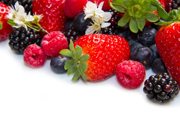 Berries on white Background