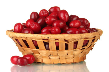 fresh cornel berries in wickerbasket isolated on white