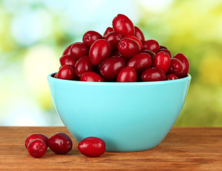 fresh cornel berries in blue bowl on green background close-up