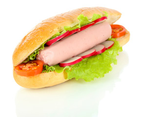 Tasty hot dog with vegetables isolated on white