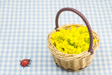 flower of rape that was served in a basket