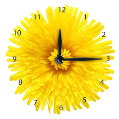 Dandelion flower - clock isolated on white background.