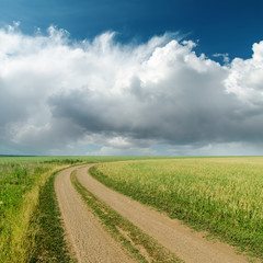 Fototapeta na wymiar dirty road in fields and low clouds on horizon
