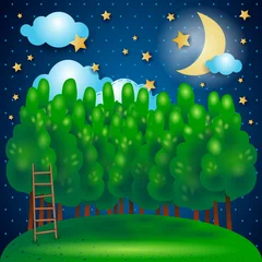 Peel and stick wall murals Forest animals Nocturnal