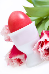 Easter eggs in stand and tulips on white background