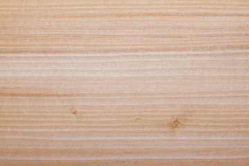 Fototapeta premium wood texture