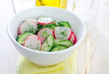 fresh salad with cucumber and radish