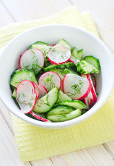 fresh salad with cucumber and radish